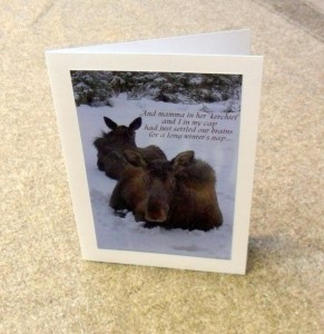 Alaskan moose Christmas card
